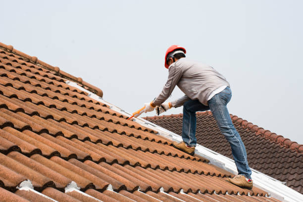 Steel Roofing in Interlachen, FL