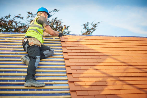 Best Commercial Roofing Services  in Interlachen, FL